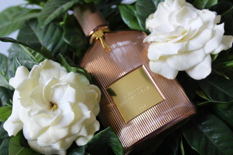 Orchid Soleil by Tom Ford