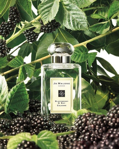 BLACKBERRY & BAY COLOGNE